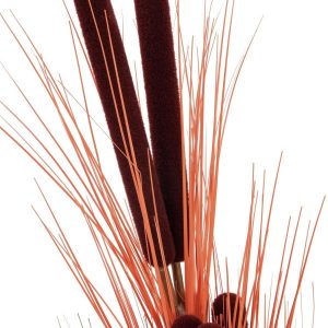 EUROPALMS Schilfgras mit Kolben, künstlich, hellbraun, 152cm