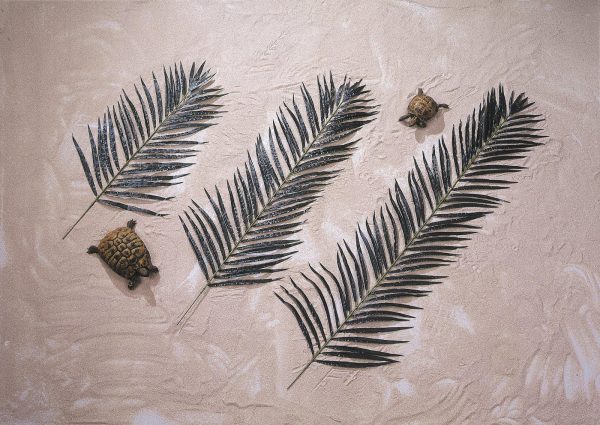 EUROPALMS Kokos-Palmwedel, künstlich, 90cm 12x