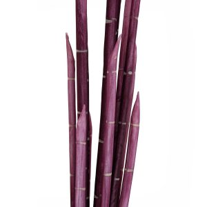 EUROPALMS Magic Zwiebelrohr, künstlich, rosa, 134cm