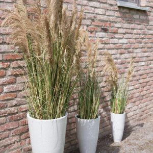EUROPALMS Chinaschilf Gracillimus, künstlich, 110cm