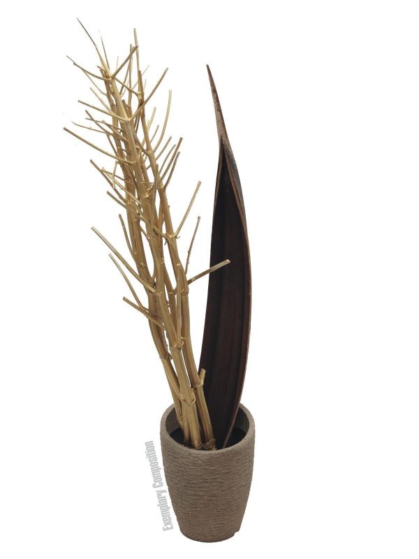 EUROPALMS Fenchelbund, getrocknet, gold, 160cm
