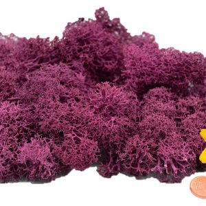 Muwse Islandmoos Veilchen Pink 25 g händisch gerupft Osternest Weihnachtskrippe