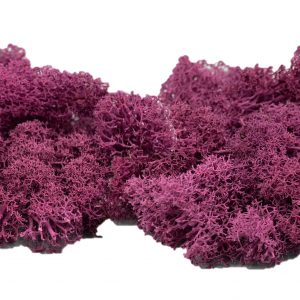 Muwse Islandmoos Veilchen Pink 50 g händisch gerupft Osternest Weihnachtskrippe